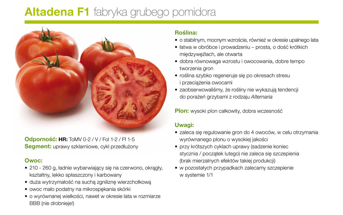 Altadena F1 - fabryka grubego pomidora