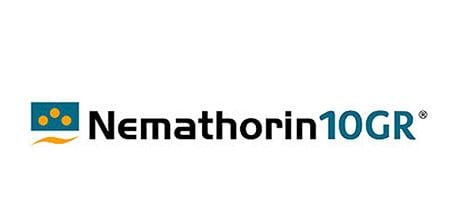 Insektycyd Nemathorin 10GR