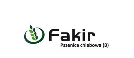 Pszenica chlebowa Fakir