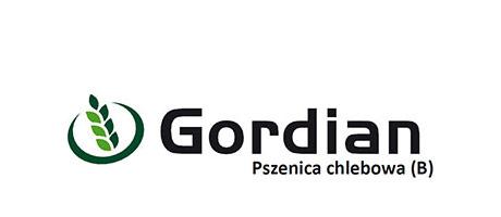 Pszenica chlebowa Gordian