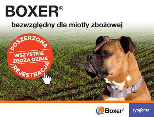 Poszerzona rejestracja herbicydu Boxer 800 EC