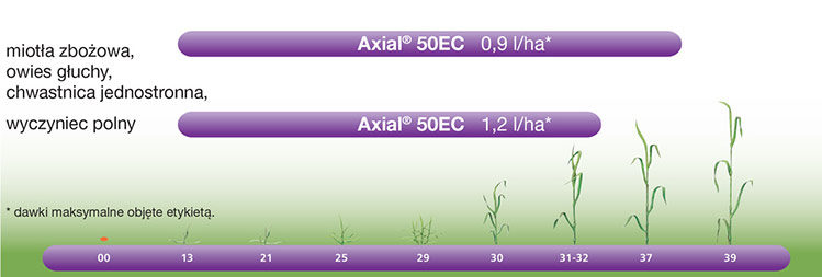 Herbicyd Axial 50 EC - swoboda