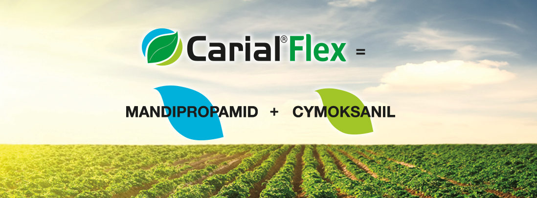 Fungicyd Carial Flex - Mandipropamid Cymoksanil