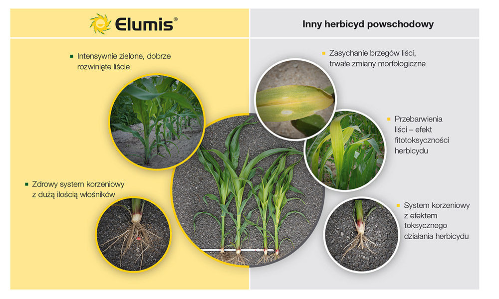 Herbicyd Elumis - porównanie