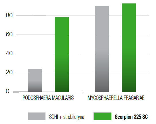 Fungicyd Scorpion - wykres