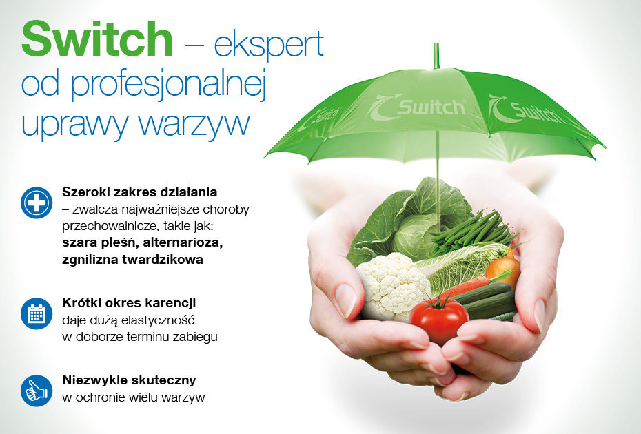 Fungicyd Switch - ekspert od profesjonalnej uprawy warzyw