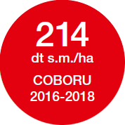 Kukurydza SY Kardona odmiana na kiszonkę - 214 dt s.m./ha COBORU 2016-2018