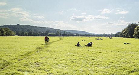Syngenta w Polsce