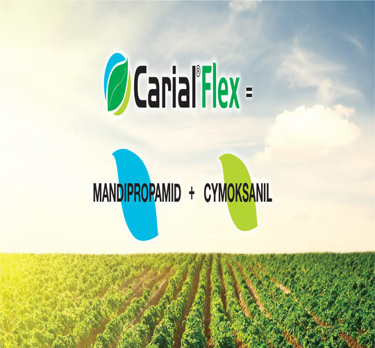 Carial Flex = Manddipropamid + Cymoksanil