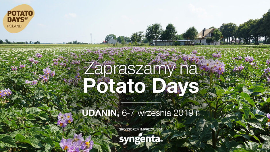 Potato Days w Udaninie