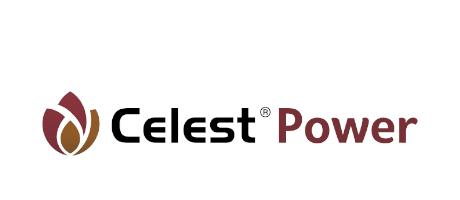 Zaprawa nasienna Celest Power