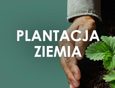 Plantacja Ziemia