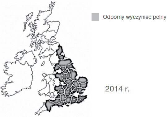 Stop odporności - odporność w Wielkiej Brytanii 2014