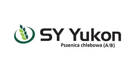 Pszenica ozima, chlebowa (A/B) - SY Yukon