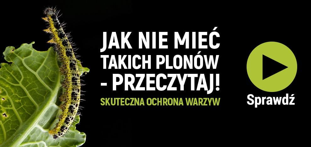 skuteczna ochrona warzyw