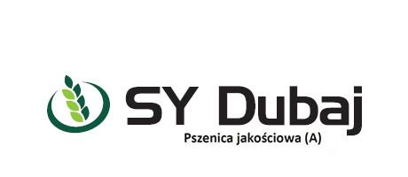 Pszenica jakościowa (A) SY Dubaj
