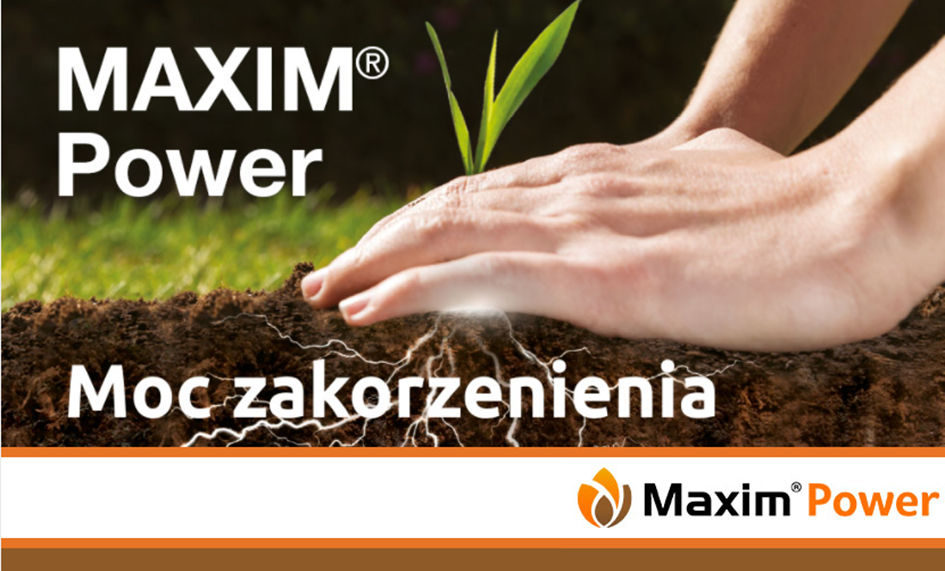 Nowa rejestracja - Maxim Power