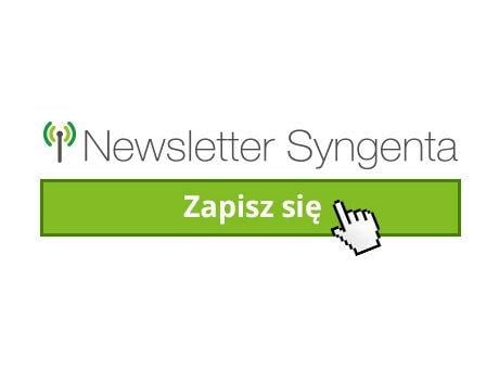 Newsletter Syngenta - zapisz się