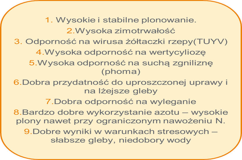 Stan plantacji rzepaku ozimego – woj. śląskie, 24 marca 2022 r.- opis