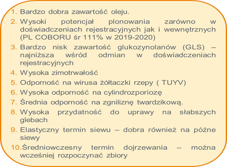Stan plantacji rzepaku ozimego – woj. małopolskie, 22 marca 2022 r. - SY Floretta - opis