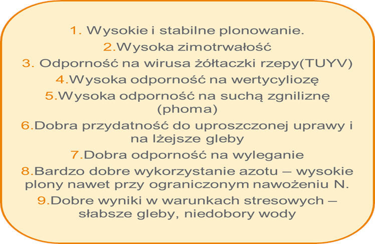 Stan plantacji rzepaku ozimego – woj. małopolskie, 22 marca 2022 r. - SY Glorietta - opis