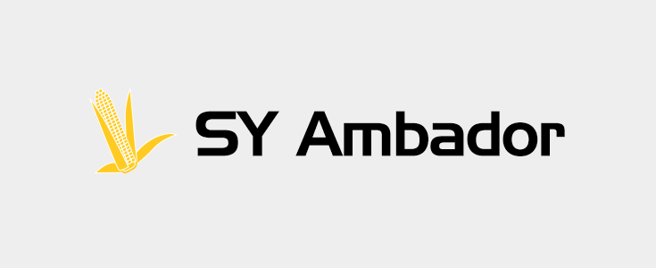 Kukurydza - SY Ambador