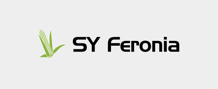 Kukurydza - SY Feronia