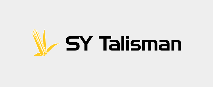 Kukurydza - SY Talisman