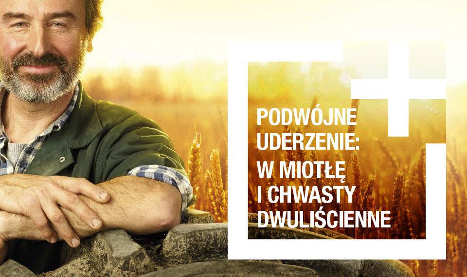 Zwalczanie chwastów - Avoxa