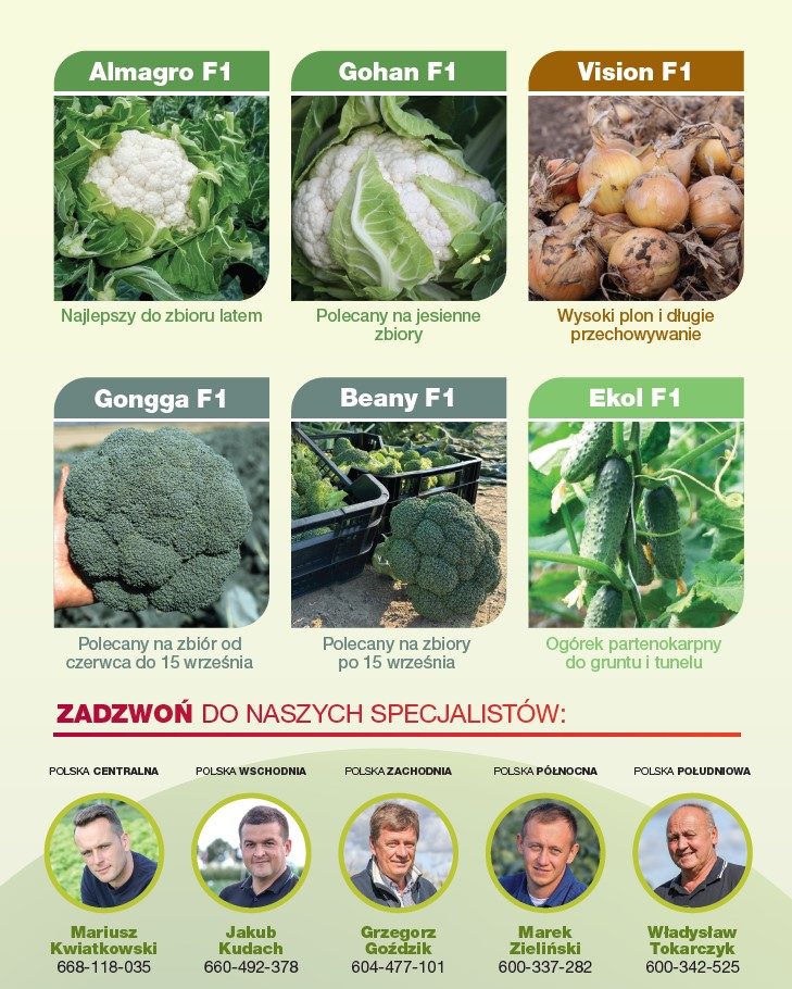 Uprawa warzyw – odmiany warte uwagi - info 2