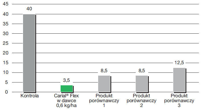 Doświadczenie polowe, 2021 (Polska – Winna Góra) - % porażenia przez zarazę ziemniaka