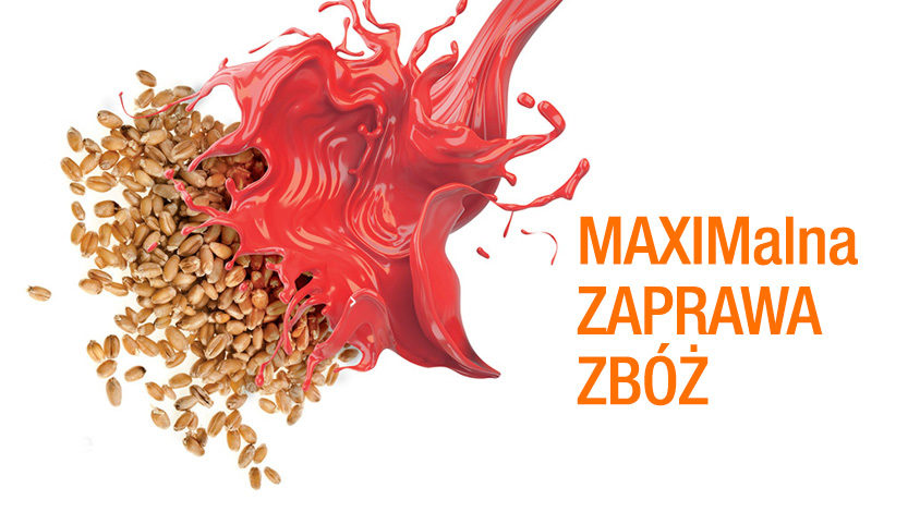 Syngenta Maxim 025FS - MAXIMalna zaprawa zbóż