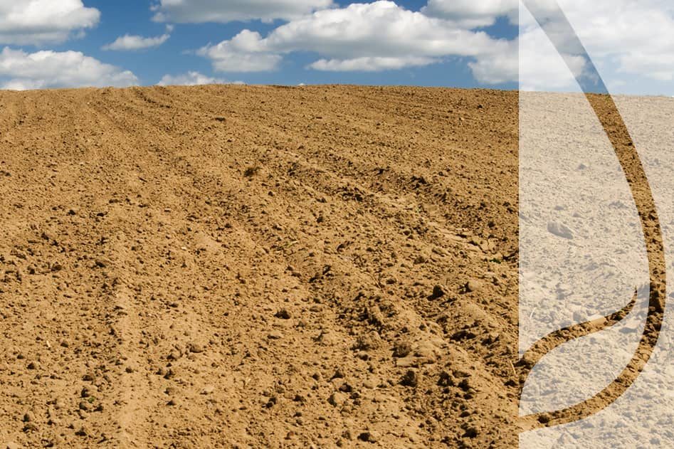 Tracenie wody z gleby – jakie praktyki mają na nią najgorszy wpływ