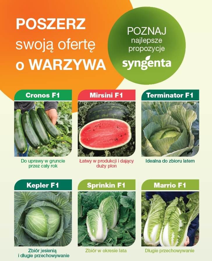 Uprawa warzyw – odmiany warte uwagi - info 1