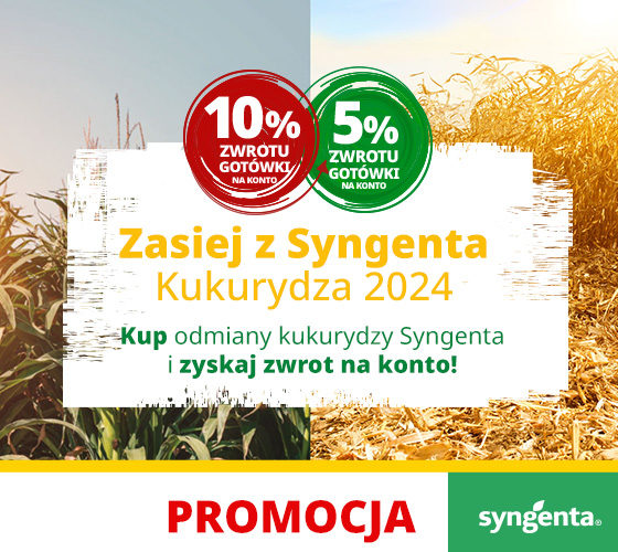 Zasiej Z Syngenta 2024 - kukurydza