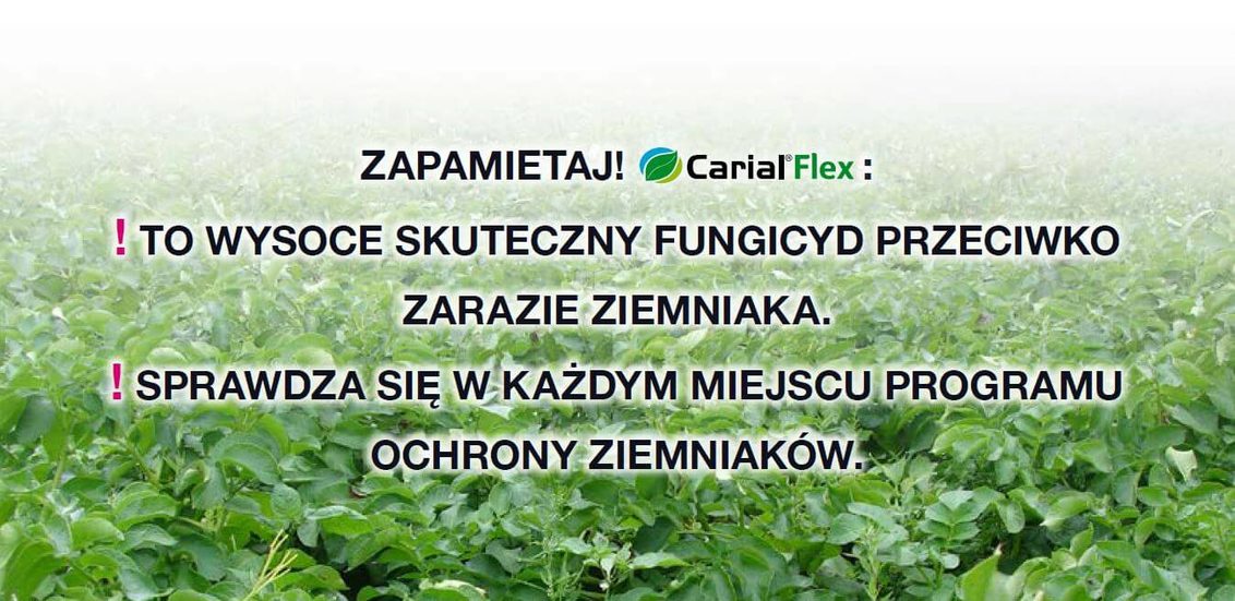 Fungicyd Carial Flex - skuteczny fungicyd