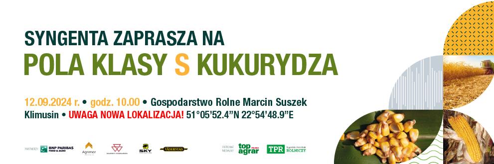 Pola Klasy S Kukurydza - Klimusin