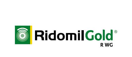 Teaser Ridomil Gold R