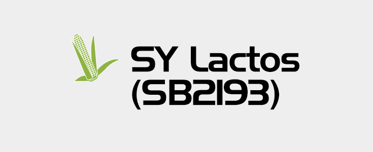 SY Lactos - logo teaser