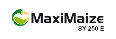 MaxiMaize - kukurydza na kiszonkę