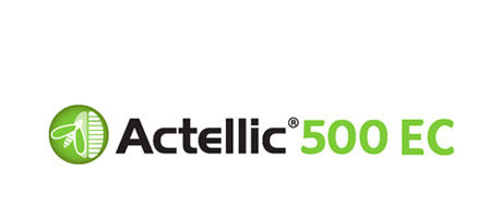 Insektycyd Actellic 500 EC