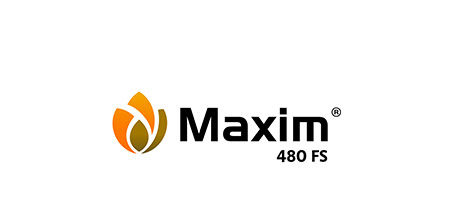 Zaprawa nasienna Maxim 480 FS