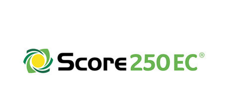 Fungicyd Score 250 EC