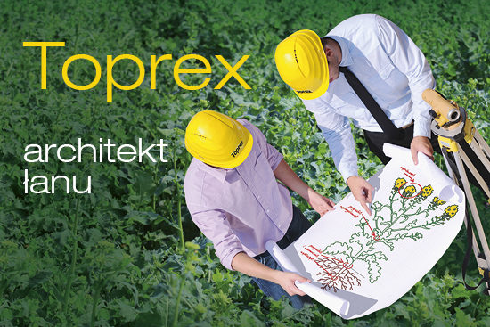 Fungicyd Toprex - architekt łanu