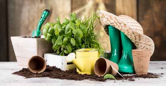 Ogród i działka - środki ochrony roślin