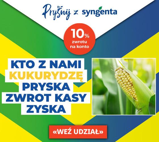Baner pryśnij kukurydzę z Syngenta