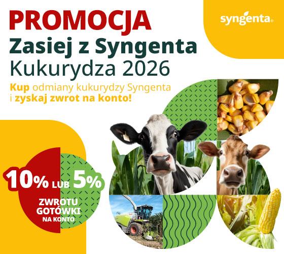 Zasiej Z Syngenta 2024 - kukurydza
