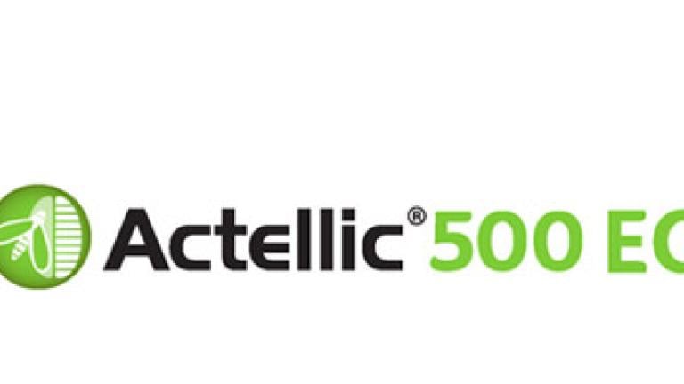 Insektycyd Actellic 500 EC