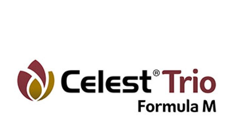Zaprawa nasienna Celest Trio Formula M