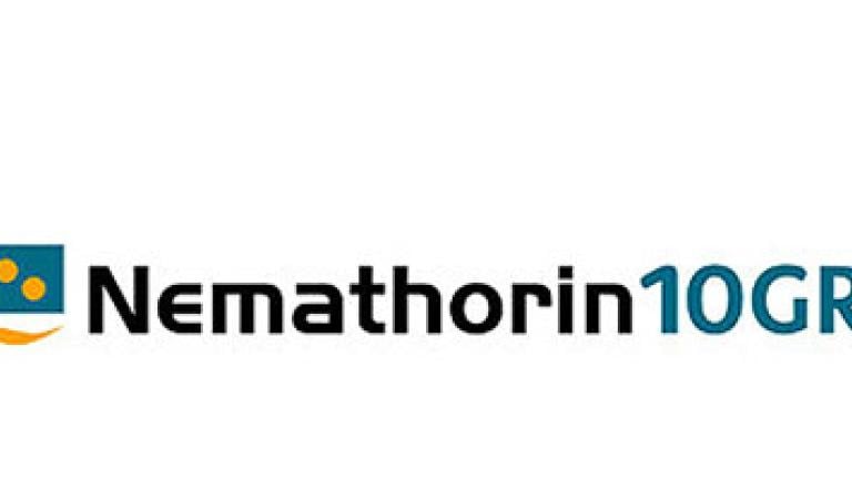 Insektycyd Nemathorin 10GR